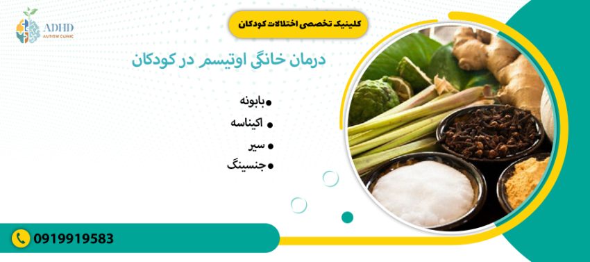 درمان خانگی اوتیسم در کودکان